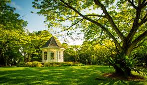 Bukan Marina Bay Sands: Menjelajahi Sisi Singapura yang Tersembunyi dan&nbsp;Otentik